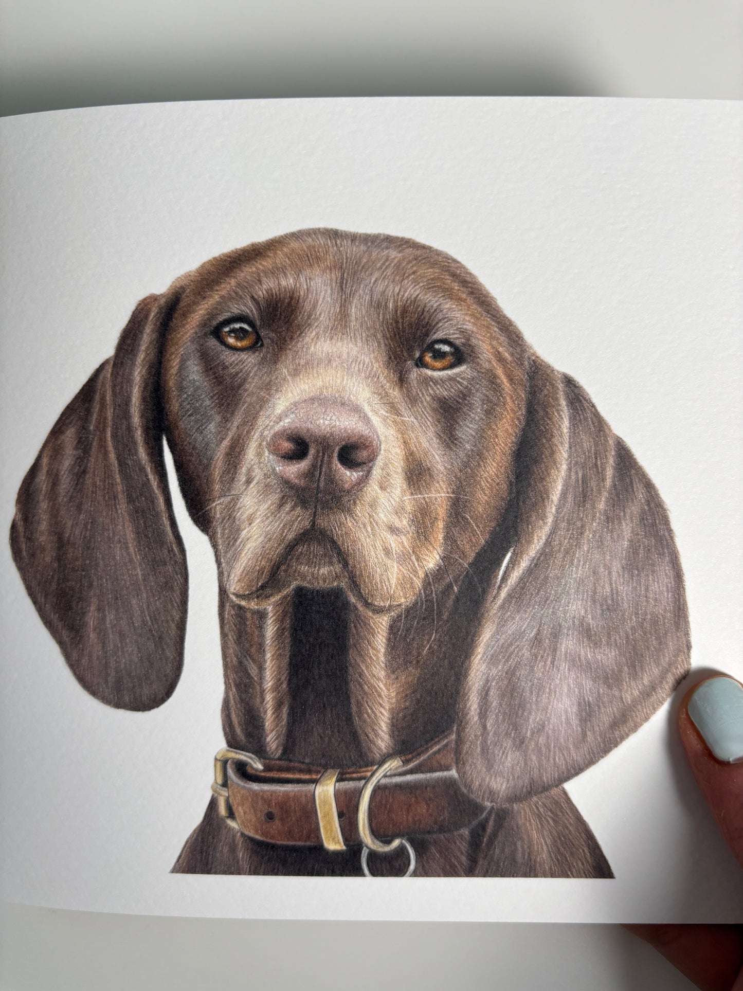 Dog Greeting Card | Hand-Drawn Illustration | Blank Inside | Premium Quality