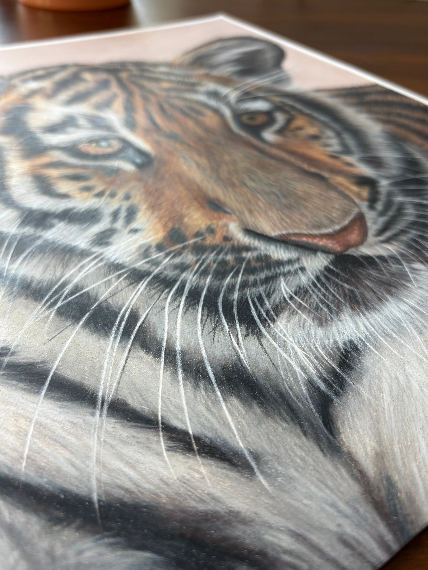 ORIGINAL Tiger Cub Drawing | Hand-Drawn Wildlife Art |