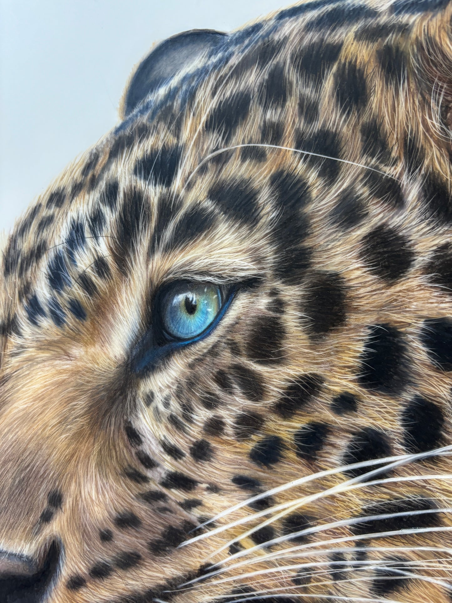 ORIGINAL Leopard Drawing