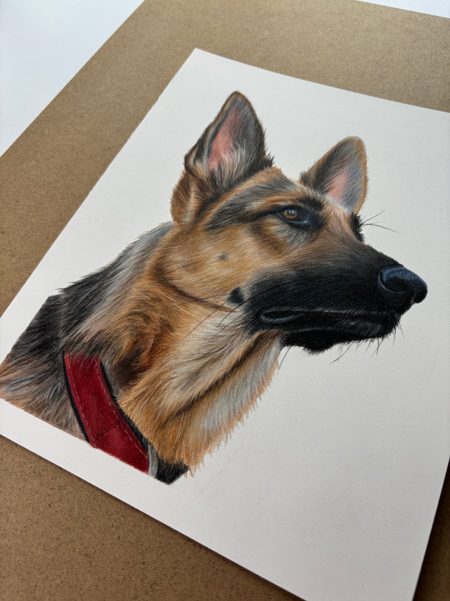 ORIGINAL Colour German Shepherd Drawing
