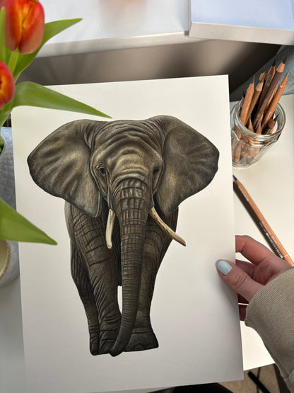 Limited Edition Elephant - Fine Art Print