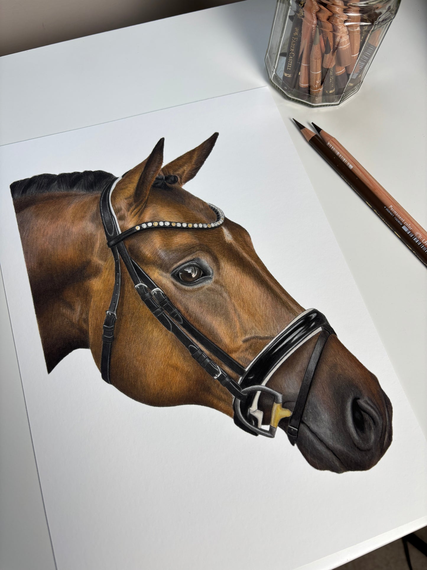 Horse - Fine Art Print