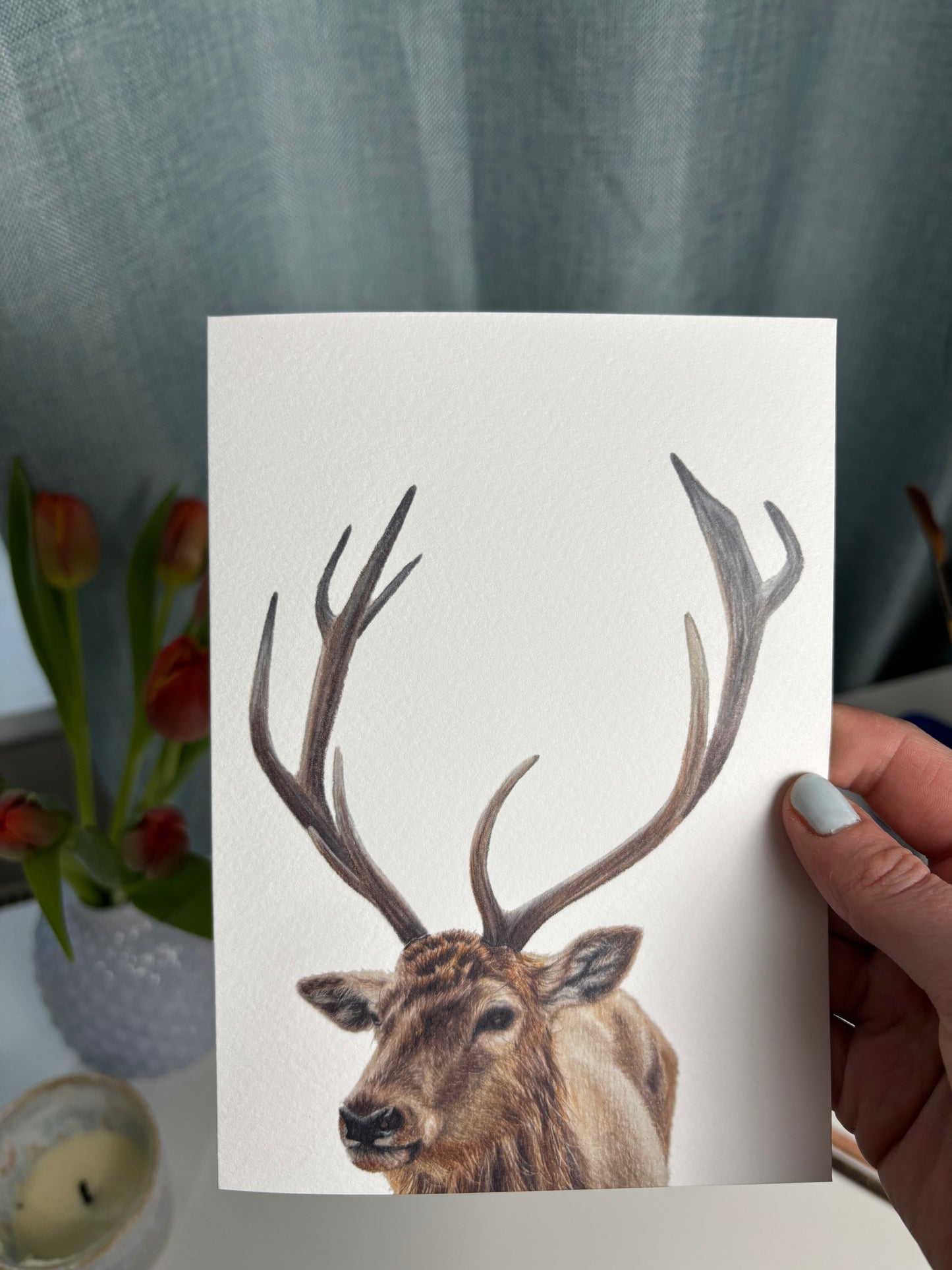 Greeting Card - Stag