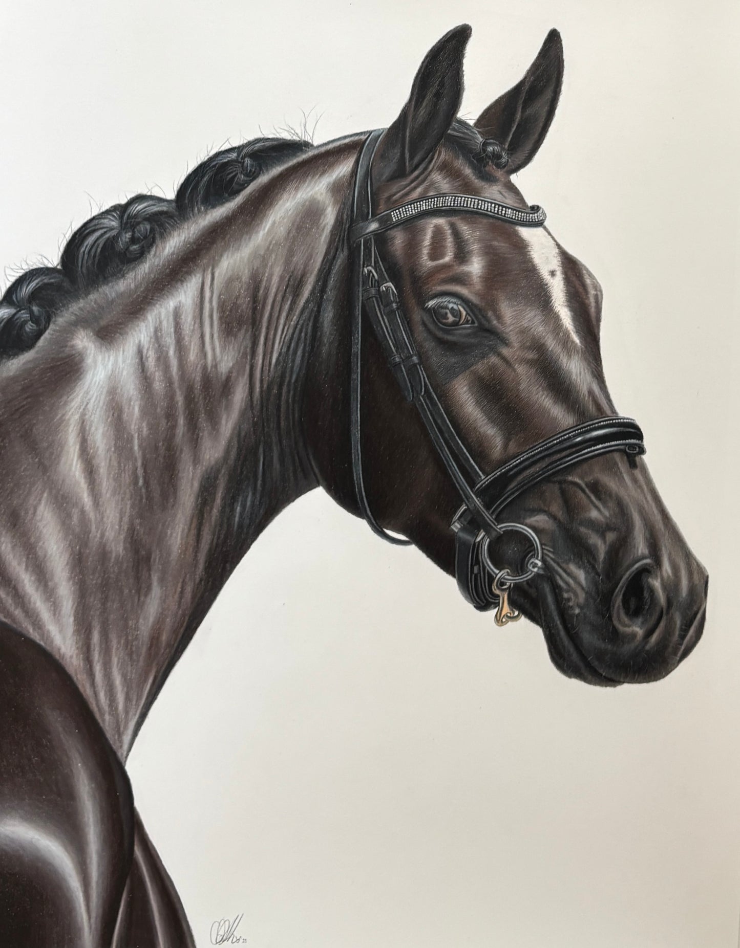 ORIGINAL Horse Drawing