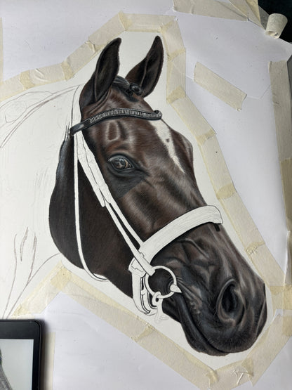 ORIGINAL Horse Drawing