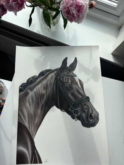 ORIGINAL Horse Drawing