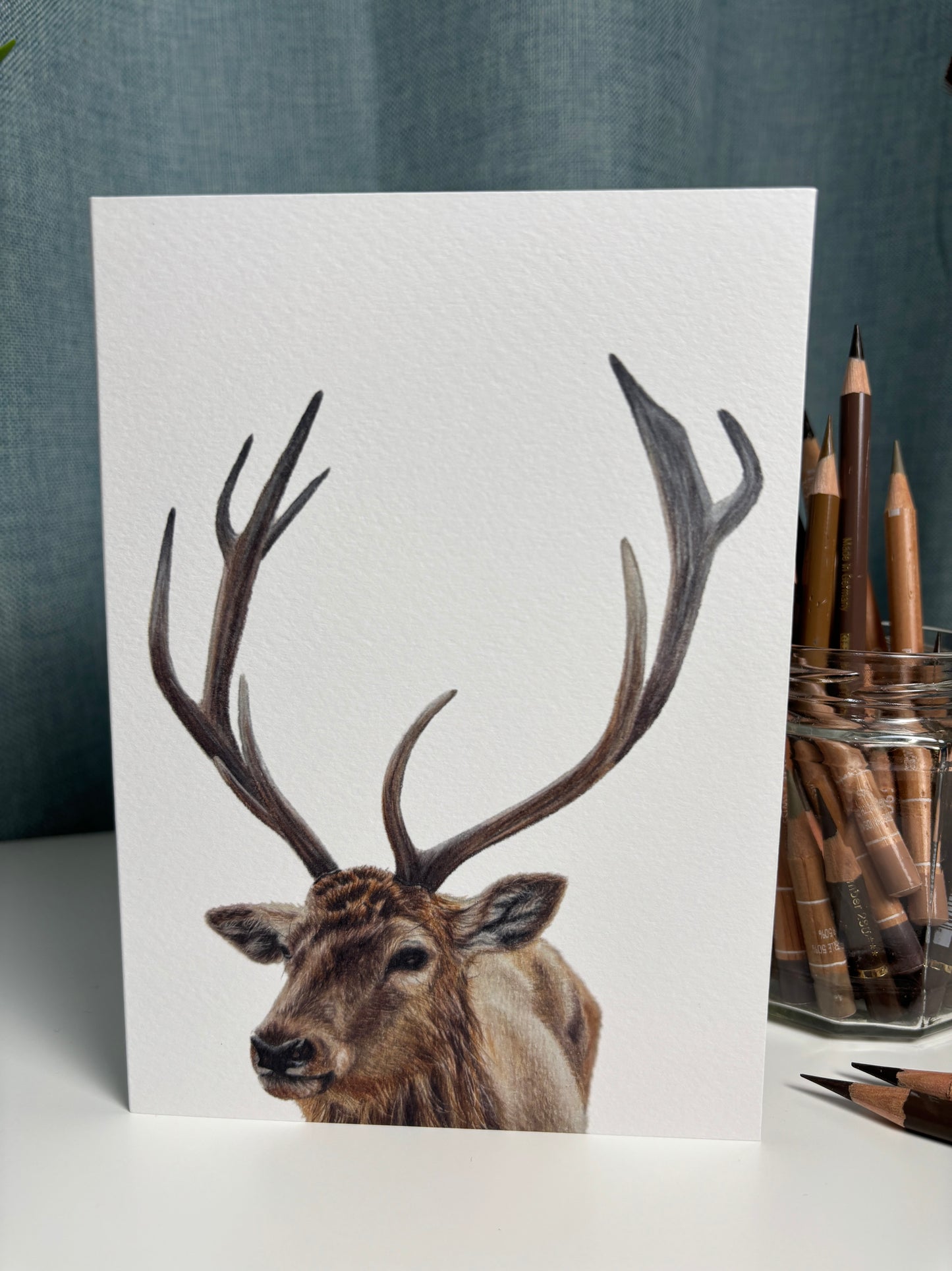 Greeting Card - Stag