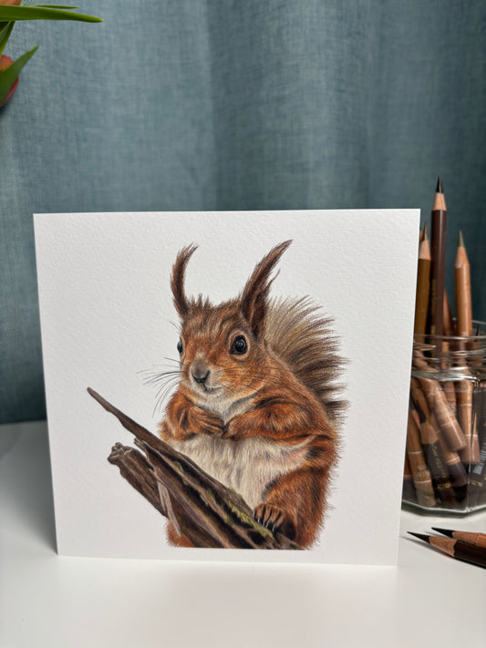 Greeting Card - Red Squirrel