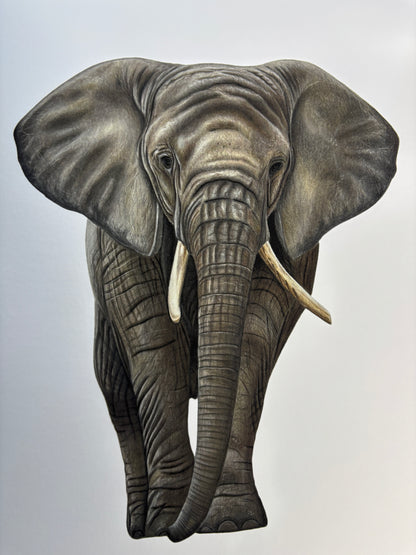 Limited Edition Elephant - Fine Art Print