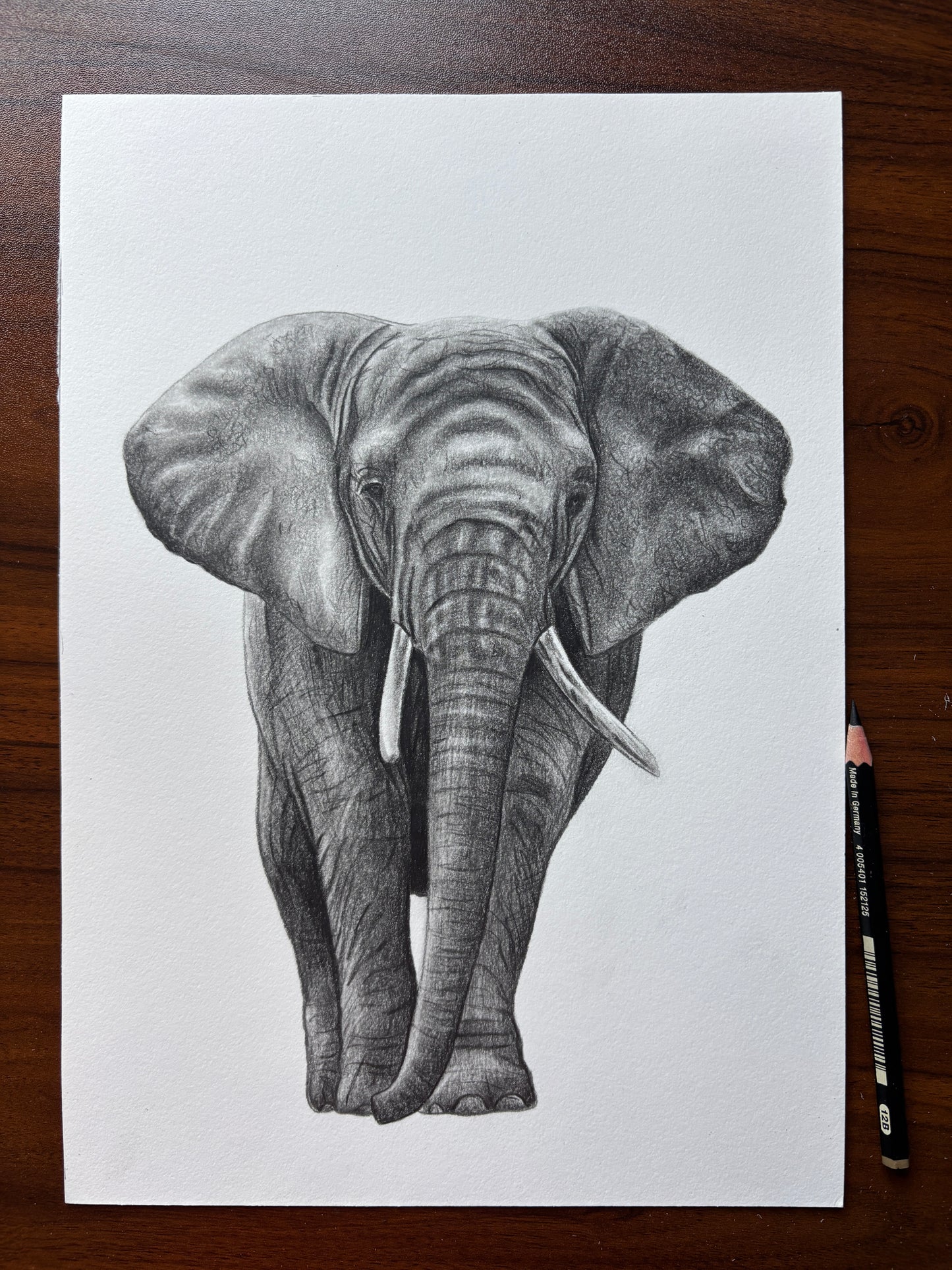 Original graphite elephant