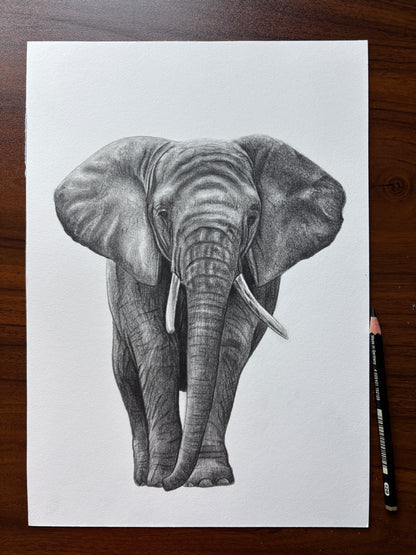Original graphite elephant