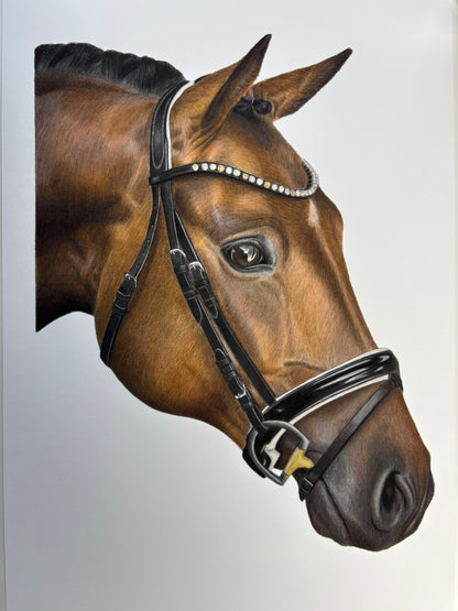 Horse - Fine Art Print