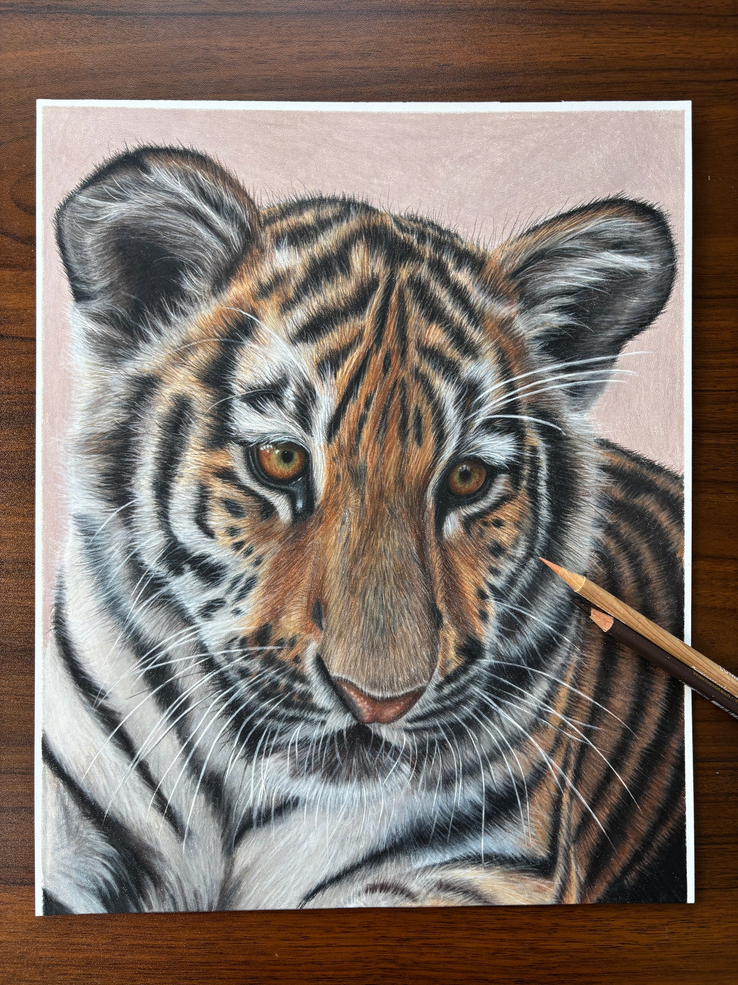 ORIGINAL Tiger Cub Drawing | Hand-Drawn Wildlife Art |