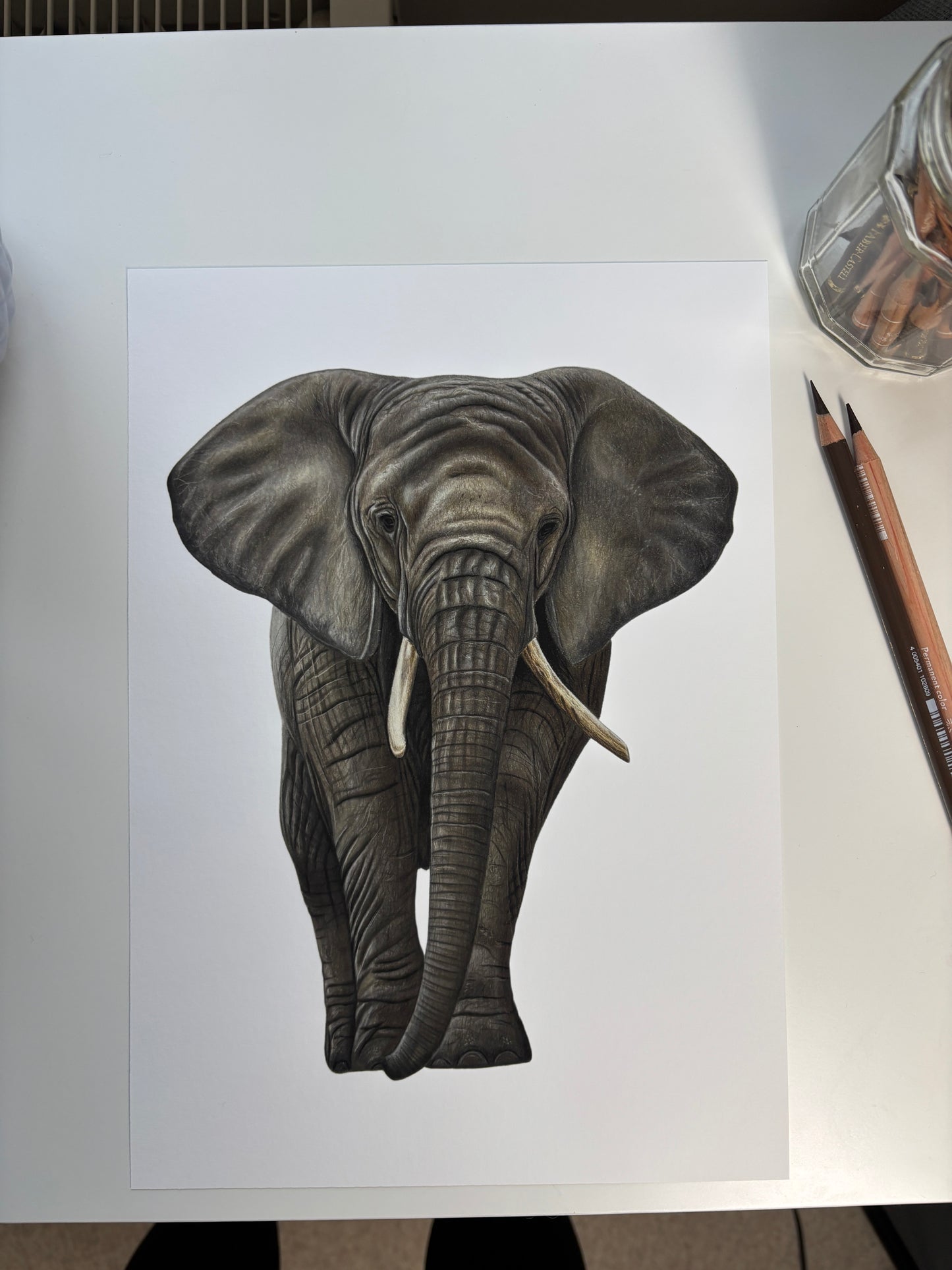 Limited Edition Elephant - Fine Art Print