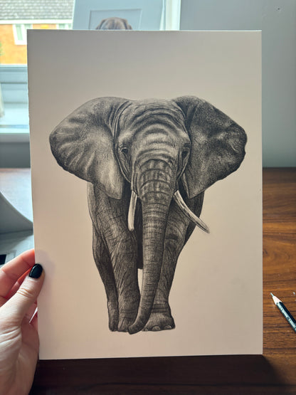 Original graphite elephant