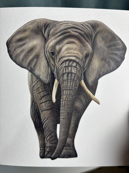 Greeting Card - Elephant