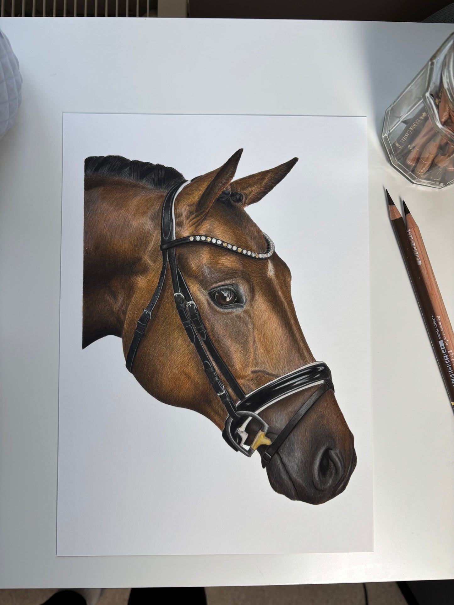 Horse - Fine Art Print