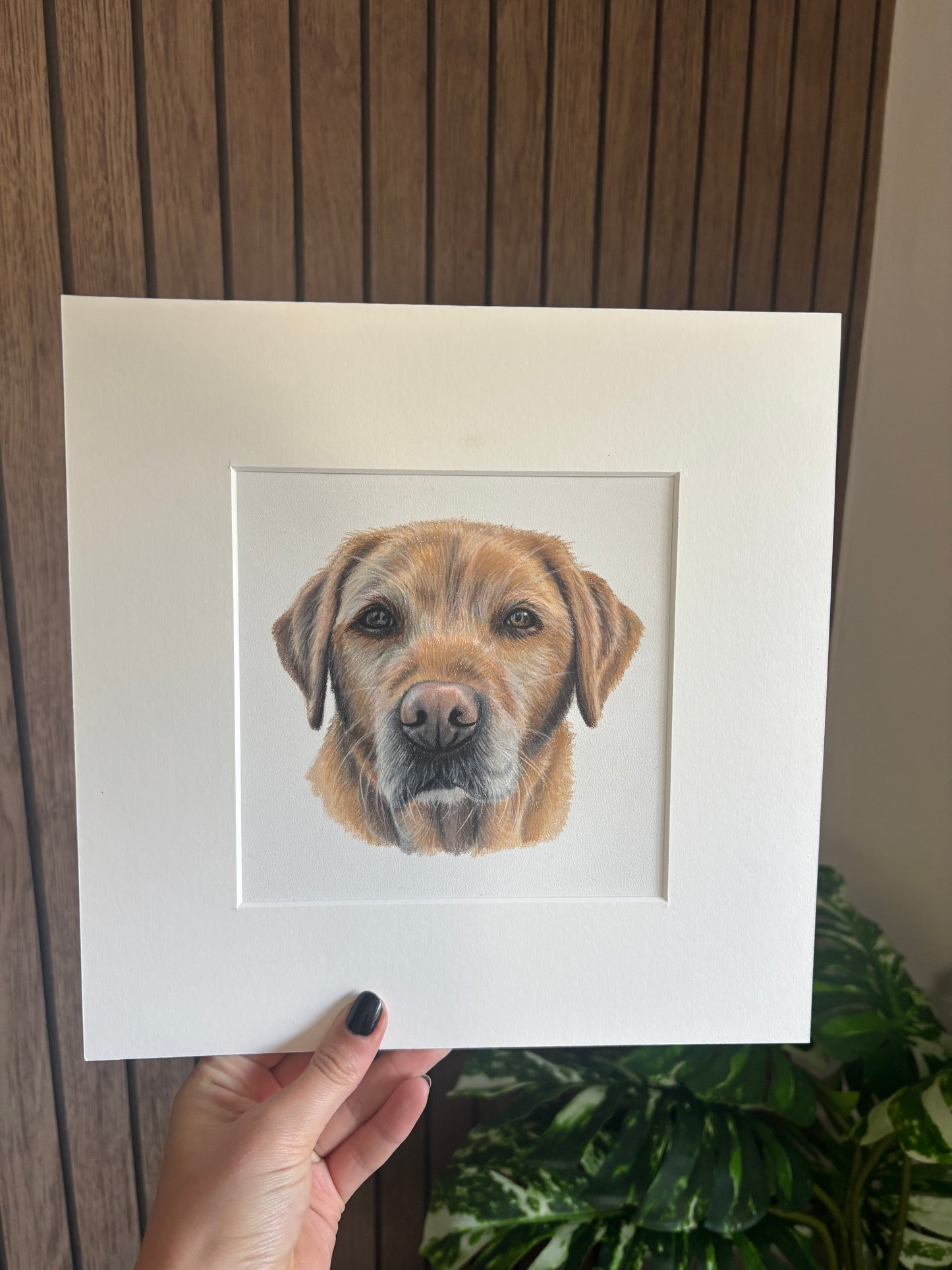 Bespoke Miniature Pet Portraits - Christmas Delivery (1st Payment)