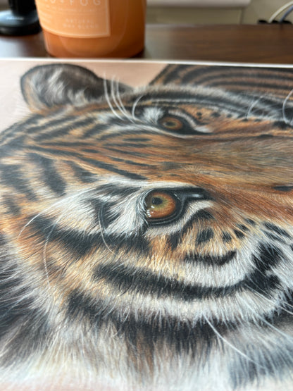 ORIGINAL Tiger Cub Drawing | Hand-Drawn Wildlife Art |