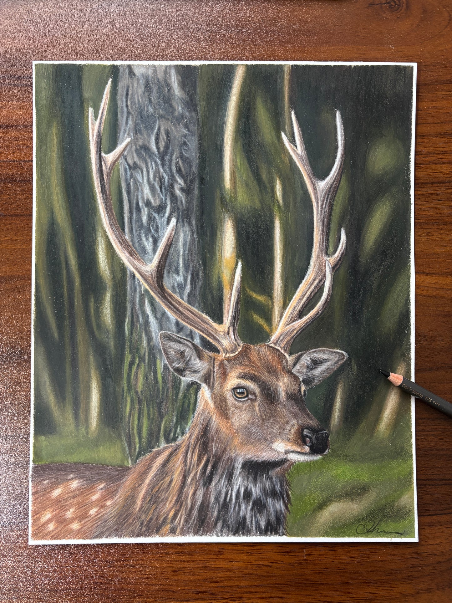 ORIGINAL Stag Drawing | Hand-Drawn Wildlife Art |