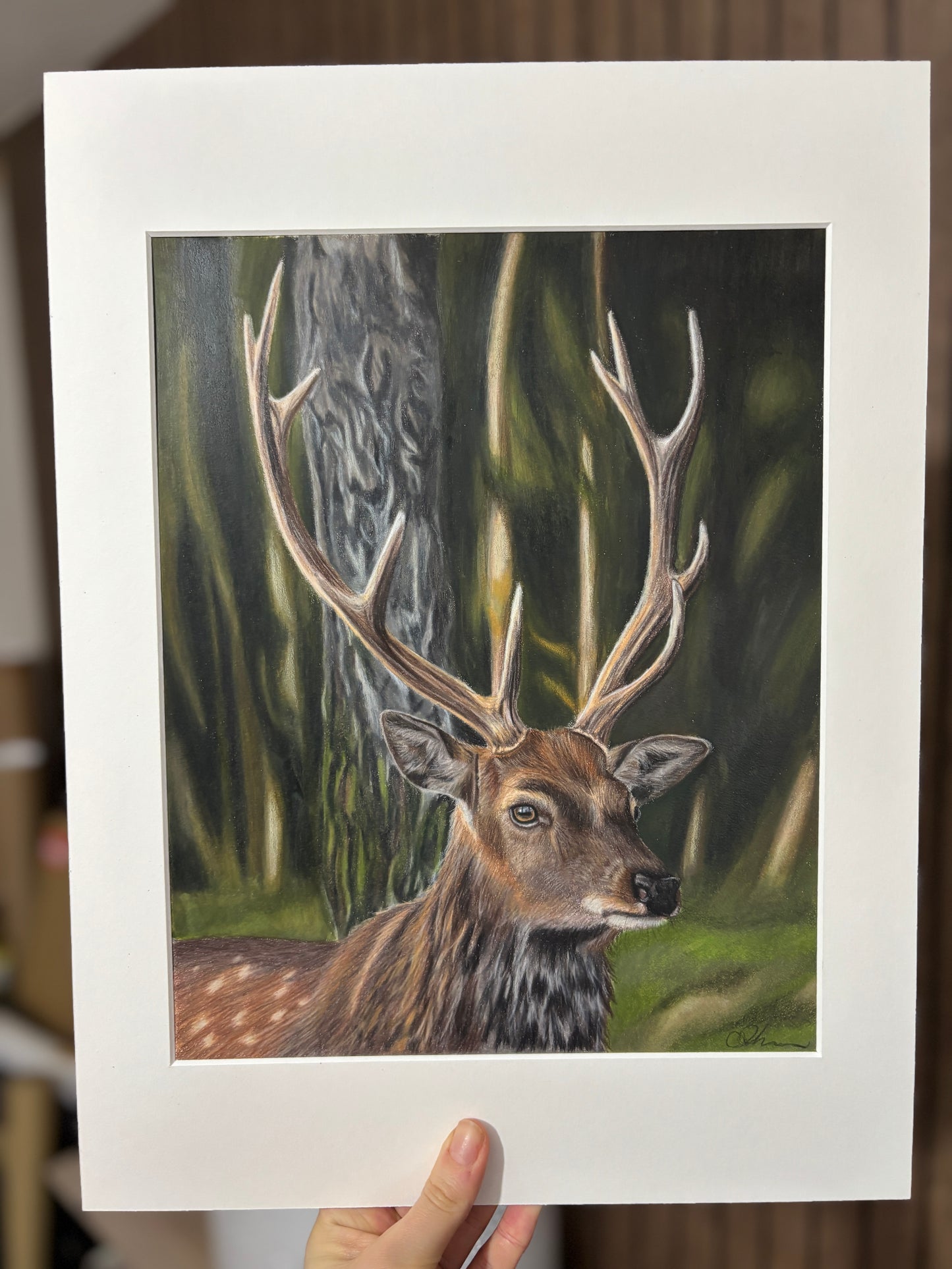 ORIGINAL Stag Drawing | Hand-Drawn Wildlife Art |