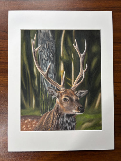 ORIGINAL Stag Drawing | Hand-Drawn Wildlife Art |
