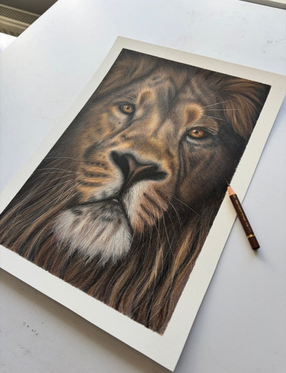 Lion - Limited Edition Fine Art Print