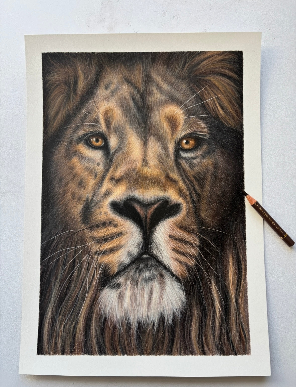 Lion - Limited Edition Fine Art Print