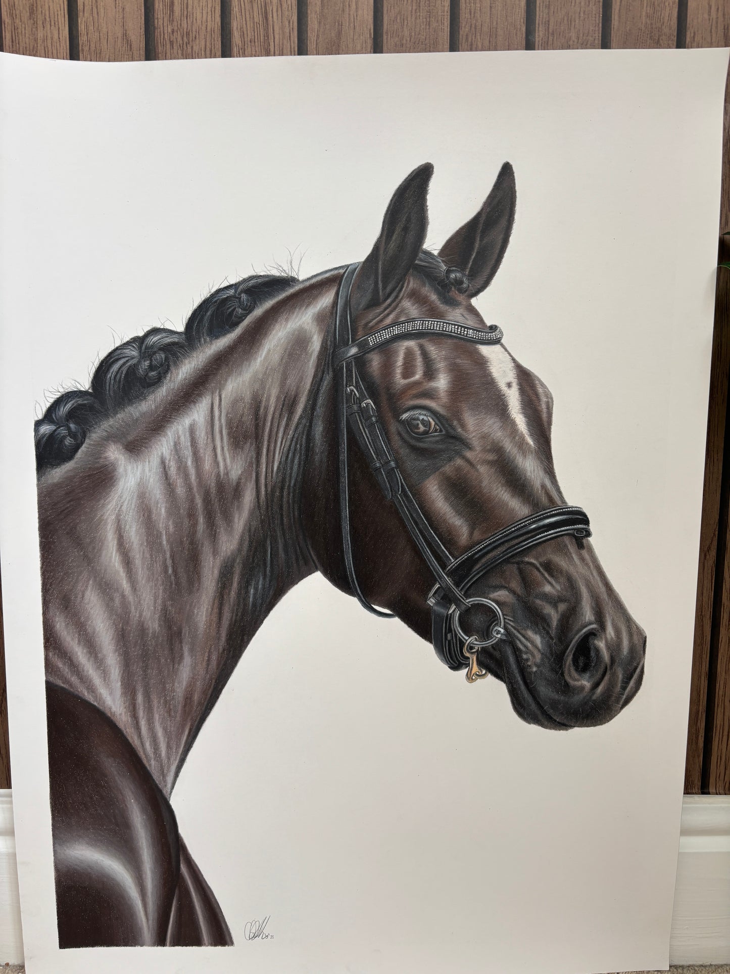 ORIGINAL Horse Drawing