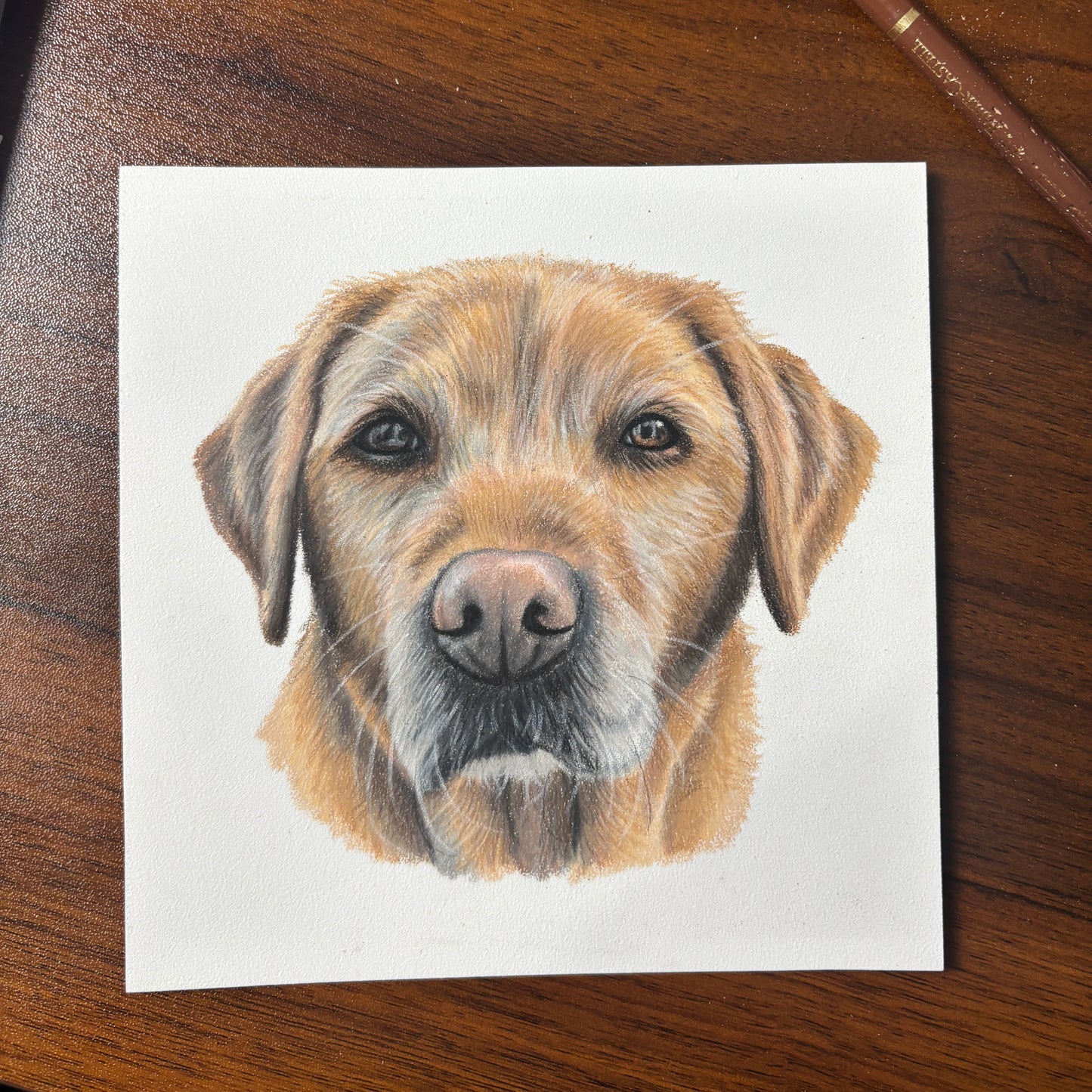 Bespoke Miniature Pet Portraits