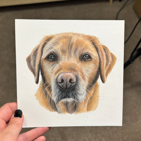 Bespoke Miniature Pet Portraits