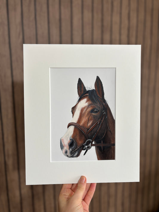 Bespoke Miniature Pet Portraits - Christmas Delivery (1st Payment)